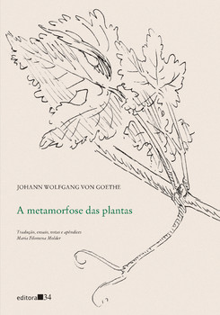 A metamorfose das plantas