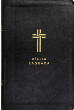 Bíblia Com Mapas Mentais - NVI - Letra Gigante - Preto