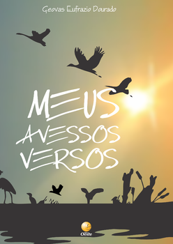 Meus avessos versos