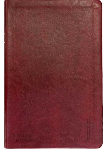 Bíblia Com Mapas Mentais- NVT - Letra Grande - Vinho
