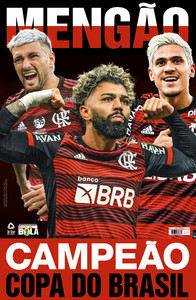 Show De Bola Magazine Super Pôster - Palmeiras Campeão Paulista 2022 -  Livros de Esporte - Magazine Luiza