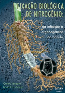 Fixação biológica de nitrogênio: da infecção à organogênese do nódulo