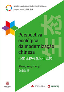 Perspectiva ecológica da modernização chinesa